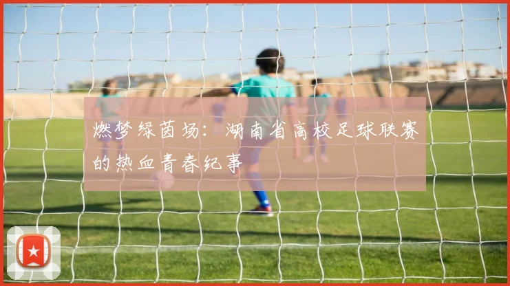 燃梦绿茵场:湖南省高校足球联赛的热血青春纪事
