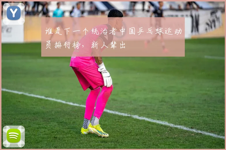 谁是下一个统治者中国乒乓球运动员排行榜,新人辈出