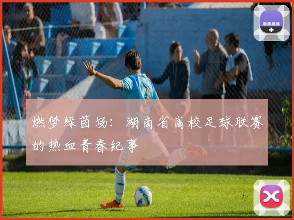 燃梦绿茵场：湖南省高校足球联赛的热血青春纪事